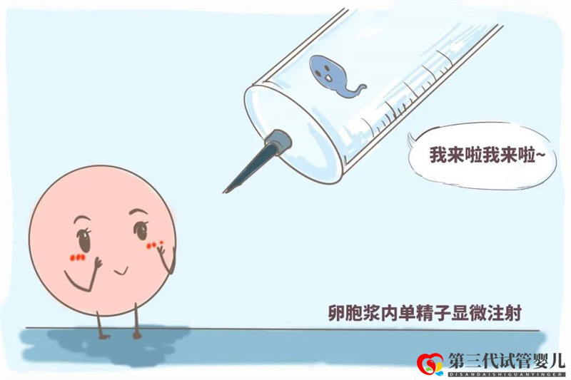 單次做三代試管嬰兒的費用詳解,其流程步驟可分這六步