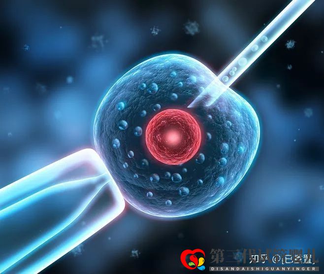 試管三代和四代的區別是什么?哪個好?